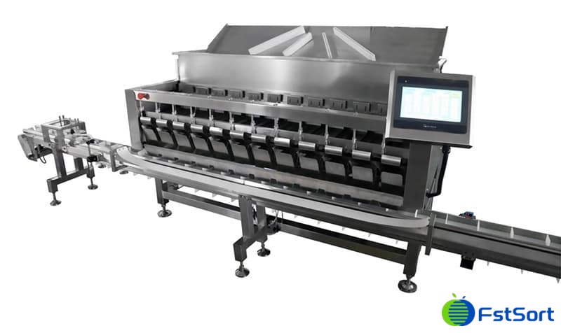 images/1733368326484blueberry packing machine.jpg